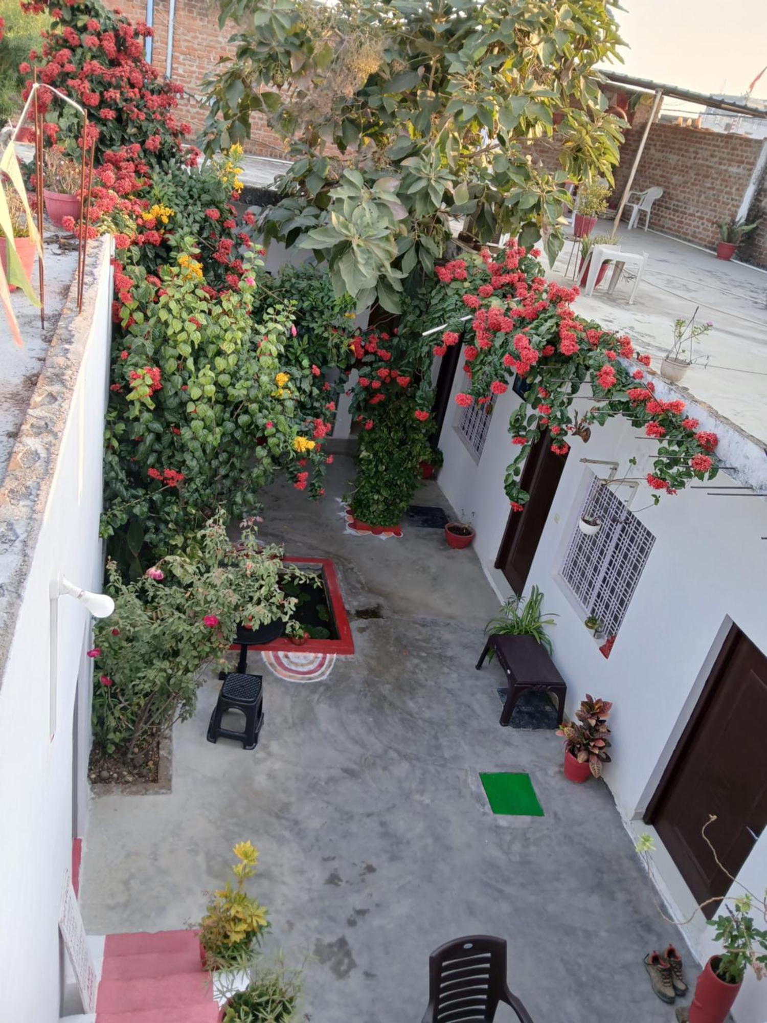 The Highvill Home Stay Khajurāho المظهر الخارجي الصورة